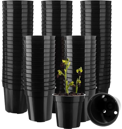 Beautywen 100Pcs Plastic Flower Pots 2.1In Mini Plastic Plant Pot Small Flower Pots Round Plant Nursery Pots with Drainage Holes for Seeds Seedling Vegetabels Herbs Garden Succulent Plants(Black)