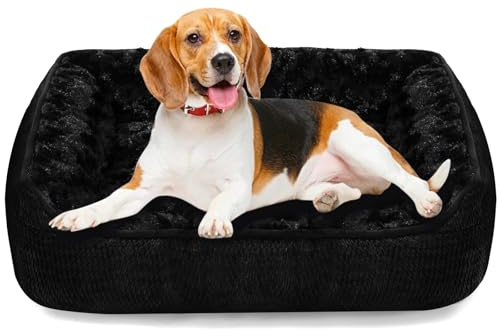 Muecleao Hundebett, Weiches waschbares Hundesofa mit Plüsch, bequemes Hundekissen und Rutschfester Hundekorb für kleine und mittelgroße Hunde (Schwarz, 60x50x14cm(L X W X H))