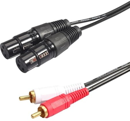 2 cavi audio RCA a doppio XLR for la registrazione del mixer subwoofer microfono