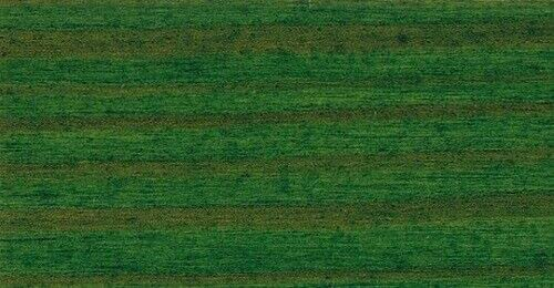 Farben-Budimex Profi-Industrie Holzschutzlasur 2 in 1, 5 Liter (tannengrün)