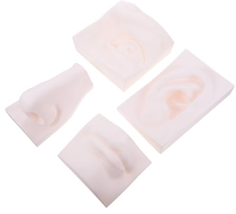 Angoily Weißes Weiches PVC Sinnesorganmodell zum Bemalen Kreative Skizzenskulptur als Dekoration für Schlafzimmer und Wohnzimmer mit Textur