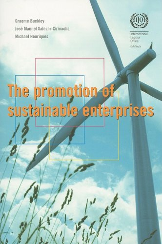 The Promotion of Sustainable Enterprises: Graeme Buckley, Michael Henriques and Jose-Manuel Salazar-Xirinachs