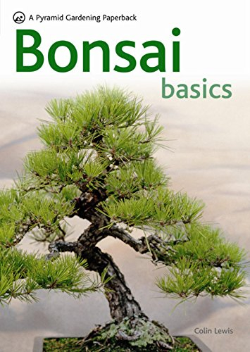 Bonsai Basics: A Pyramid Paperback (Pyramids)
