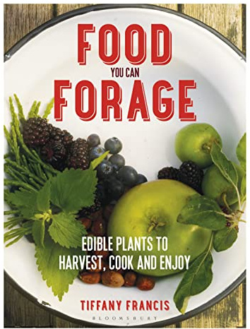 Food You Can Forage: Edible Plants to Harvest, Cook and Enjoy