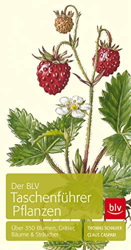Der BLV Taschenführer Pflanzen: Über 350 Blumen, Gräser, Bäume & Sträucher (BLV Bäume & Pflanzen)