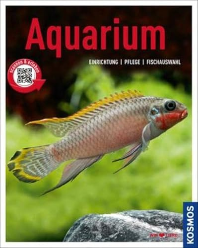 Aquarium: Einrichtung, Pflege, Fischauswahl (Mein Tier)