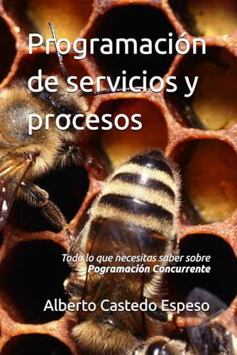 Programación de servicios y procesos