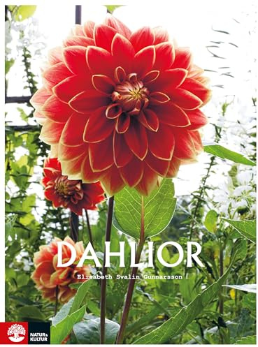 Natur & Kultur Allmänlitt.