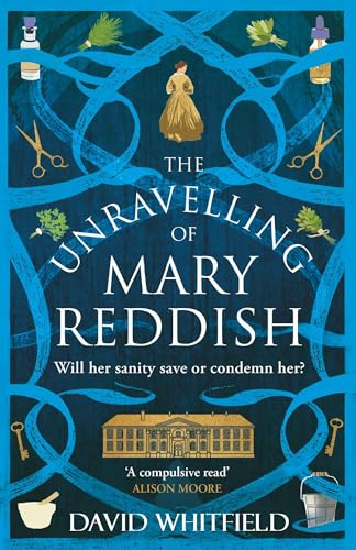 The Unravelling of Mary Reddish: a powerful historical novel about a woman unjustly committed to an asylum