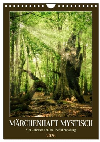 Märchenhaft mystisch (Wandkalender 2026 DIN A4 hoch), CALVENDO Monatskalender: Vier Jahreszeiten im Urwald Sababurg (CALVENDO Natur)