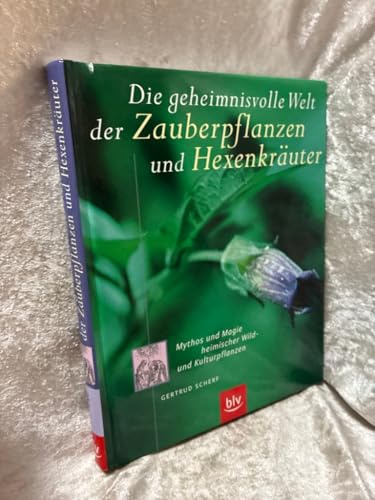 Die geheimnisvolle Welt der Zauberpflanzen und Hexenkräuter