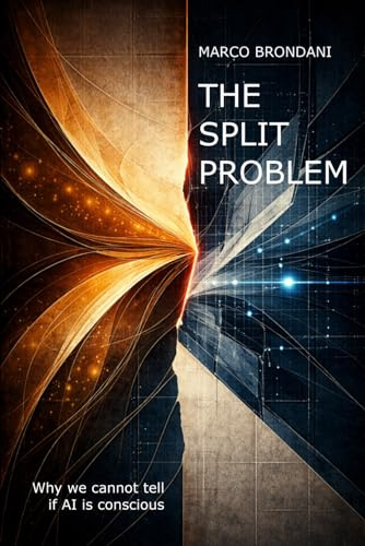 The Split Problem: Why we cannot tell if AI is conscious