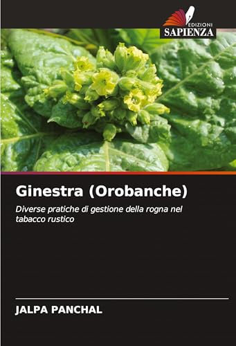 Ginestra (Orobanche): Diverse pratiche di gestione della rogna nel tabacco rustico