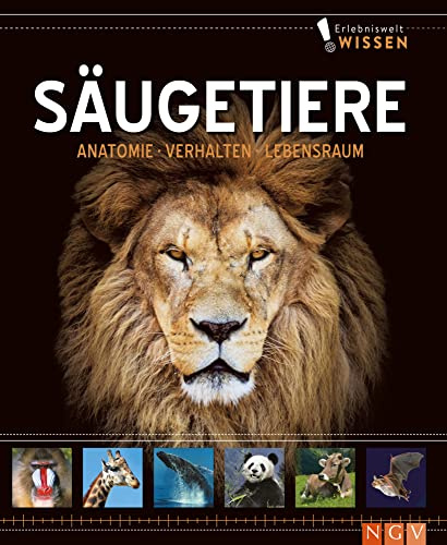 Erlebniswelt Wissen Säugetiere: Anatomie, Verhalten, Lebensräume. Ein Sachbuch für Kinder ab 10 Jahren