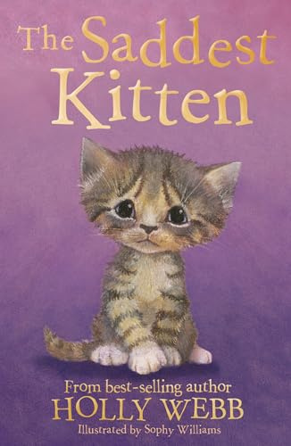 The Saddest Kitten: 46 (Holly Webb Animal Stories, 46)