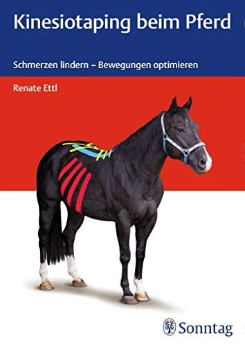 Kinesiotaping beim Pferd: Schmerzen lindern - Bewegungen optimieren