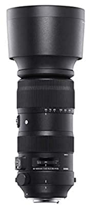 Sigma 60–600 mm F4.5-6.3 DG DN OS für Sony E-Mount