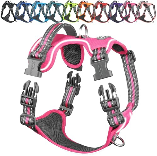 VIVAGLORY Anti Zieh Geschirr für Hunde Hundegeschirr, XS, Rosa, A | Antizuggeschirr mit Gepolstert Griff & Brustring, Anti Zieh Mitwachsend Ausbruchsicher & Reflektierend für Welpe Hund