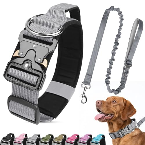 Ledeak Taktiskt hundhalsband och koppel, kraftigt vadderat hundhalsband med metallspänne, militärjusterbara husdjurshalsband i nylon med handtag för medelstora hundar träning (grå, M)