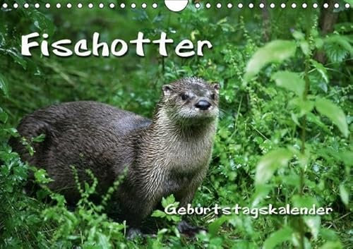 Fischotter Geburtstagskalender (Wandkalender immerwährend DIN A4 quer): Geschickte Fischjäger (Monatskalender, 14 Seiten) (CALVENDO Tiere) [Kalender] [Oct 10, 2013] B, M