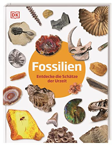 Fossilien: Entdecke die Schätze der Urzeit. Fossilien-Lexikon. Für Kinder ab 6 Jahren (Steckbriefe)