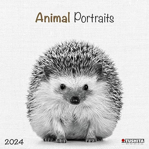 Animals 2024: Kalender 2024 (Wonderful World)