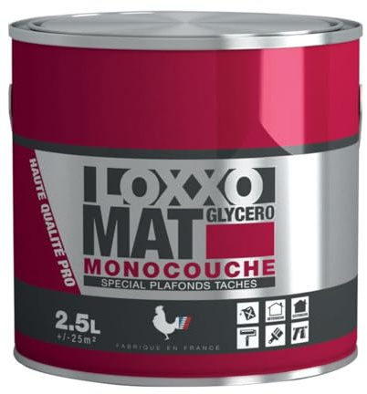 LOXXO - Loxxo Peinture Glycéro - Spécial Plafonds tachés - Monocouche - Blanc Mat - Conditionnement 2,5L, Couleur BLANC