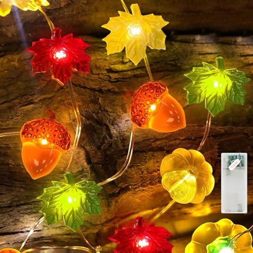 Liyade LED Lichterkette Herbst, 2.2M 20LED Kürbis Ahornblätter Eichel mit Timer Batterie, Herbst Innen Deko Fairy Lights für Erntedankfest Party