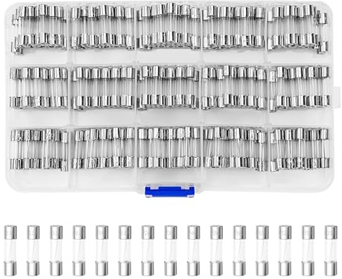 300 Pezzi Kit Fusibili in Vetro 5x20mm 15 Valori 0.1A–20A 250V Set Fusibili a Soffiaggio Rapido per Apparecchi Elettrici ed Elettronici con Scatola di Plastica