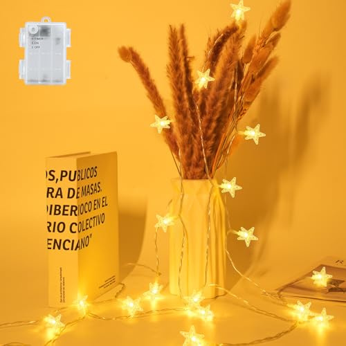 FFZZKJ Lichterkette Weihnachten Batterie Timer Sterne Außen Innen Wasserdicht für Weihnachtsdeko, 3M 20LED, Warmweiß