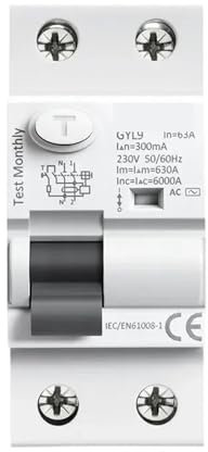 Disjoncteur différentiel électromagnétique de type AC, disjoncteur différentiel AC ELCB 2 pôles 25A 40A 63A 100A RCD 30mA 100mA 300mA(2P 25A,100mA)