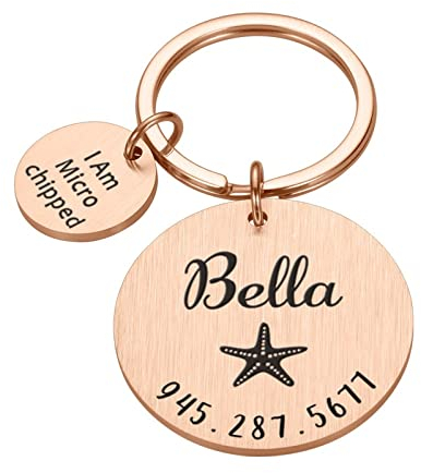 Personalisiertes Haustier-ID-Tag für Haustier, Hund, Katze, ich bin, mit Mikrochip, Hundenamens- und Nummernschild, Edelstahl-Halsband, ID-Tag-Gravur, Roségold
