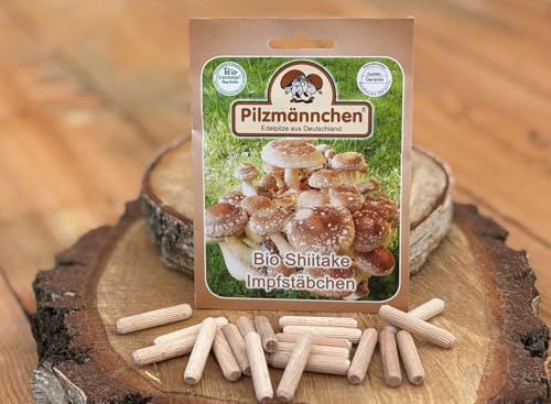 Bio Shiitake Impfstäbchen 20 Stück – Impfdübel Pilzbrut für Laubholz/Baumstamm – Shiitake selber züchten – Pilzmännchen