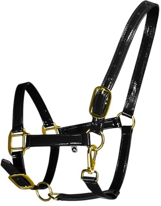 Bbajszx Reitsport Zaumzeug mit Kopfstück für Pferde, Kopfbedeckung mit Goldener Schnalle aus elegantem Leder, geruchshemmend und schnell zu reinigen, mit wasserfestem Pferdezaum