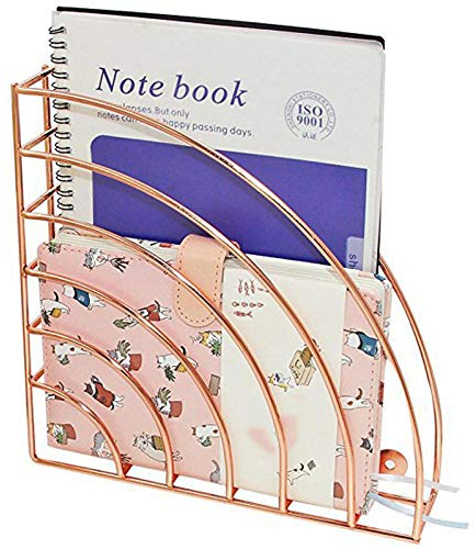 XBSLJ Zeitungsständer, Briefablage 2 Packungen Hängende Wandhalterung Zeitungsständer Aktenhalter Organizer Metalldrahtkorb Geometrisches Regal Roségold