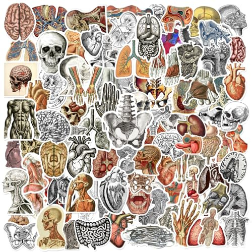 100 PCS Vintage Anatomy Stickers, Biology Anatomy Human Skeleton Vinyl Waterproof Stickers for Water Bottle Laptop Luggage Scrapbook Gifts for Students Teachers, Human Anatomy Decals