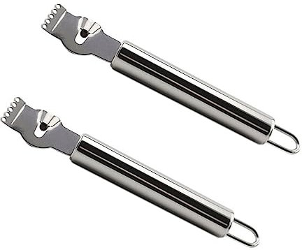 GRIRIW 2pièces Râpes à Fruits Zesteur De Éplucheur Orange Multifonctionnel Pour Cuisine Et Cocktails