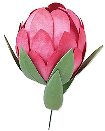 Sizzix Bigz Stanzschablone Protea von Olivia Rose, 665495