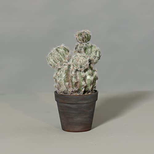 Künstlicher Kugelkaktus Natura 28x16cm im Topf DP - mit Steinabdeckung – Detailreicher Kunstkaktus mit 5 Kugeln – Pflegeleichte Wüstenpflanze wie echt – Dekopflanze für Büro, Regal & Fensterbank