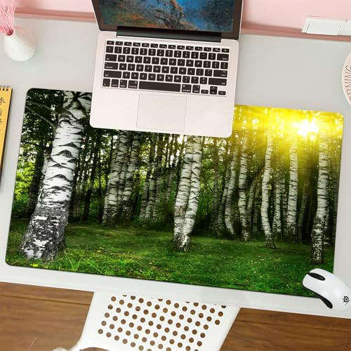 QRFASFZO Großer Mauspad - 80x30cm Gaming-Mauspad mit genähten Kanten, Nicht rutschender Unterlage,Majestätischer Birkenwald Wird von warmem Sonnenschein beleuchtet, natürli,Schreibtischmatte und Maus
