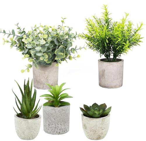 DEANKEJI Planta Artificial Pequeña, 5 Piezas Plantas Artificiales en Maceta, Realista Suculentas Artificiales, Verde Decoración Hogar, para Dormitorios, Salones y Oficinas
