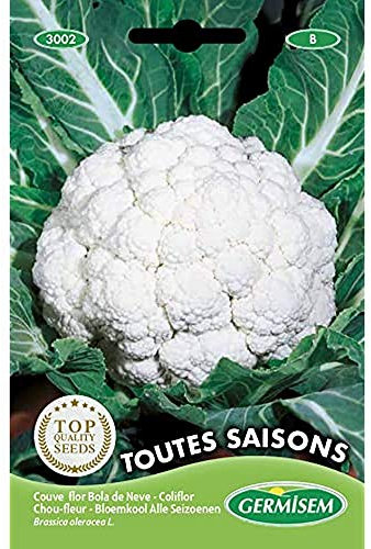 Germisem Blumenkohl ALL THE YEAR ROUND