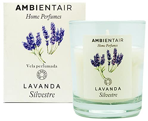 Sevenreeds Bougie parfumée Ambientair à la lavande sauvage, parfum lavande sauvage, bougie parfumée pour maison, aromathérapie, bougie en verre pour intérieur