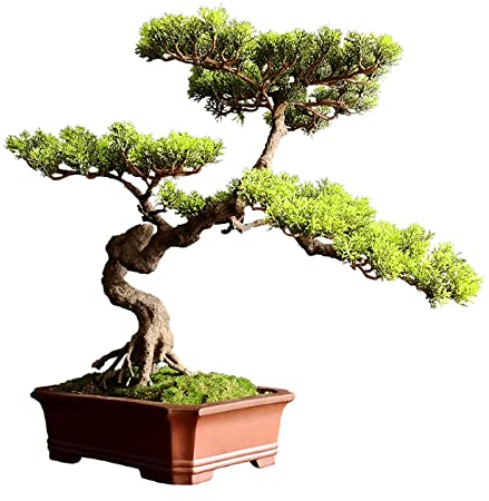 Künstlicher Bonsai Künstlicher Bonsai-Baum, Kunstbaum, Bonsai-Kiefer, Bonsai mit rotem Keramiktopf, Innendekoration, Zimmerpflanze for Desktop-Heimdekoration Künstliche Zimmerpflanzen im Topf