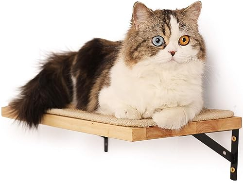 FUKUMARU Kletterwand Katzen, Katzenbett Wand aus 2cm dickem massivem Gummiholz mit widerstandsfähiger Sisal-Kratzmatte, 40x25cm Wand-Katzenliege/Katzentreppe