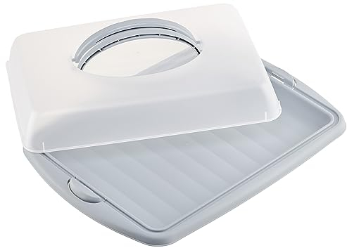 com-four® Kuchencontainer zum Aufbewahren und Transportieren von Backwaren - 43 x 31 x 9 cm Transport-Box - Kuchenbehälter und Lebensmittelbox mit Tragegriffen (01 Stück - Design 2 hellgrau)