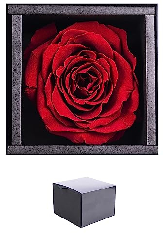 Ewige Rose Infinity Rosen in Geschenkbox Deko Rosenblätter getrocknet Echte konservierte Rosen Rosenkopf Rosenbox Muttertagsgeschenk (Geschenkbox Rot)