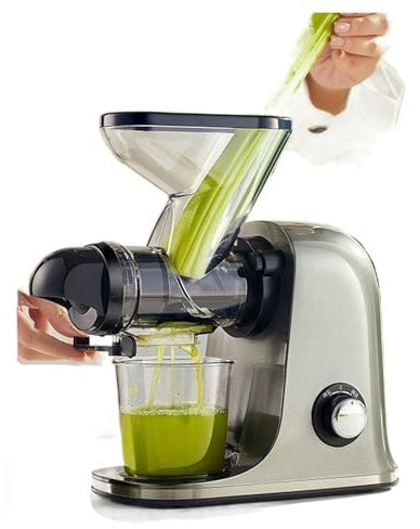 YSFHYAN Low Speed Juicer,Masticating Juicers,Quiet Motor Juicer,Juicer Machines Vegetable And Fruit,Antique Spiral Extrusion,One Click Disassembly And Assembly,for Kitchens Beverage Shops(Color:Grey)