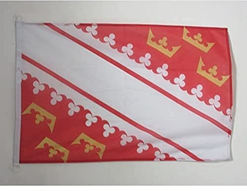 AZ FLAG - Drapeau Alsace Spécial Extérieur - 90x60 cm - Pavillon Nautique Alsacien - Province D'Alsace En Maille Bloquée Avec Anneaux Plastiques Intégrés - 80g