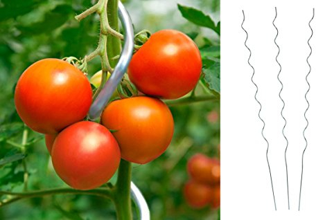 Unbekannt 10 x Tomatenspiralstab 180cm Tomaten Spiralstab Pflanzstab Pflanzspiralstab